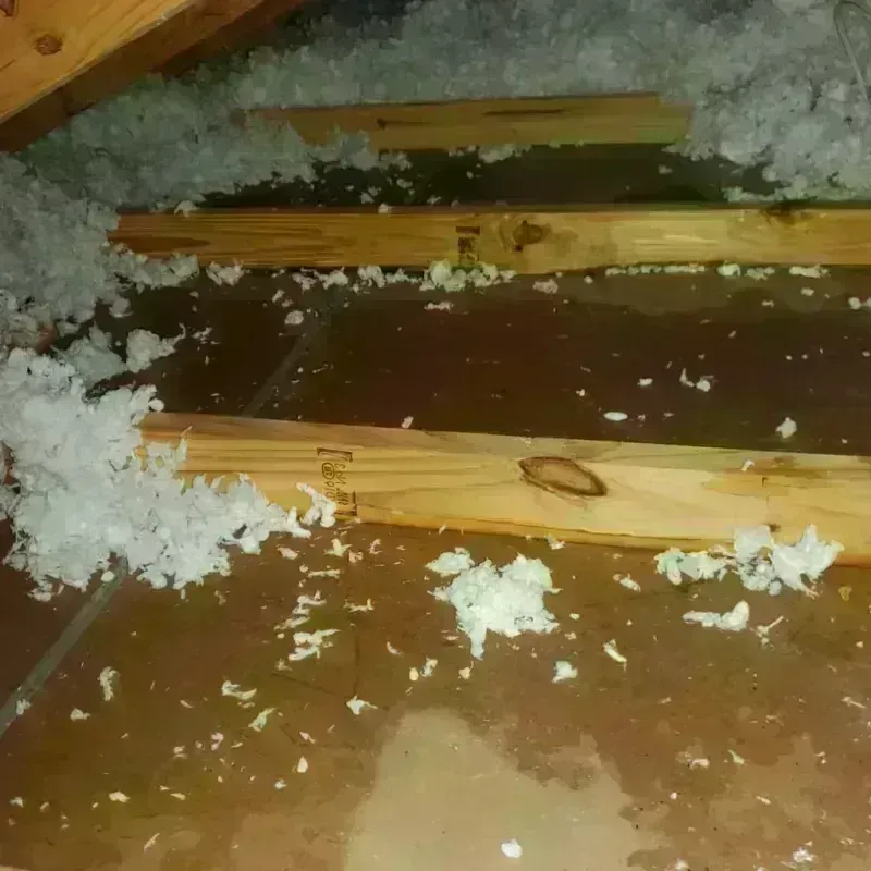 Attic Water Damage in Crandon, WI